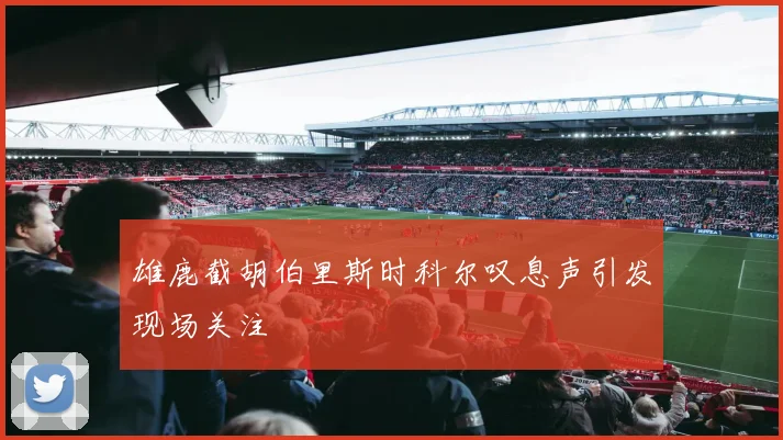 雄鹿截胡伯里斯时科尔叹息声引发现场关注