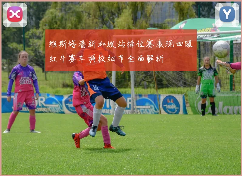 维斯塔潘新加坡站排位赛表现回暖红牛赛车调校细节全面解析